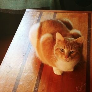 Meet your Posher, Mel